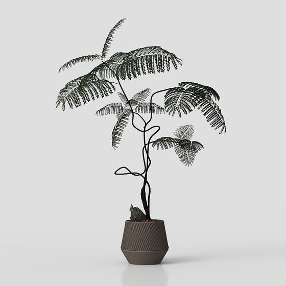 Tropical Potted Plant 3D Model