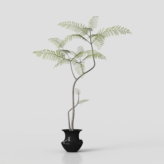 Indoor Fern 3D Model for Creative Projects