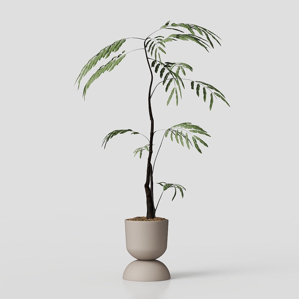 레드-모던 빈티지 스타일 레스토랑 0905_녹색 식물