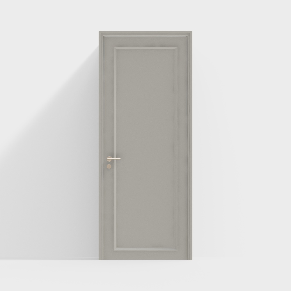 Modern Single Door