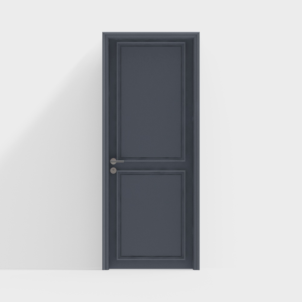 Modern Minimalist Single Door