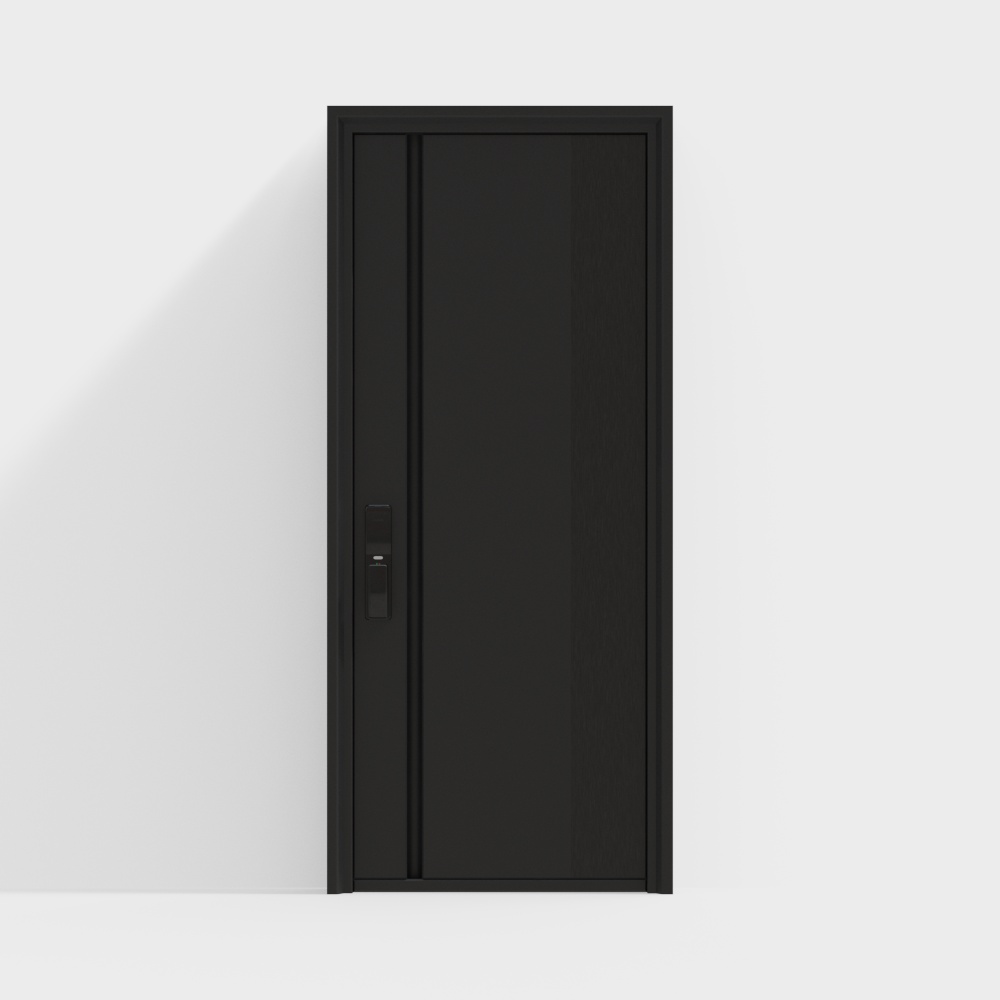 Porta Antifurto Singola Moderna