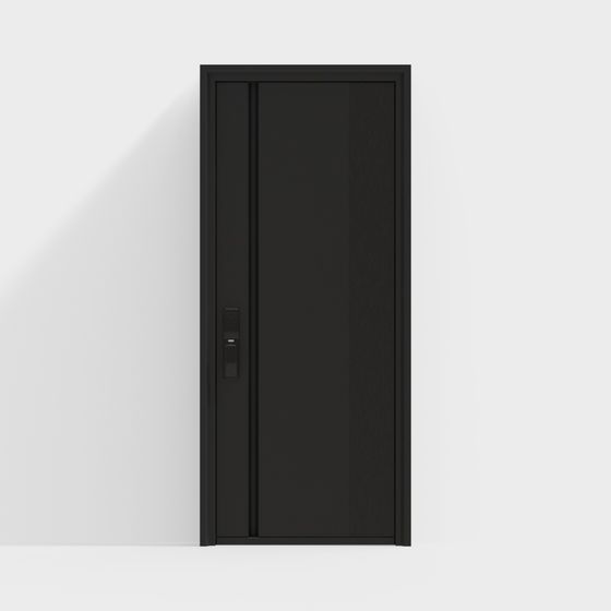 Porta Antifurto Singola Moderna