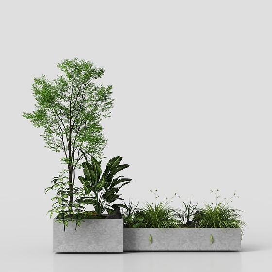 Green Plants