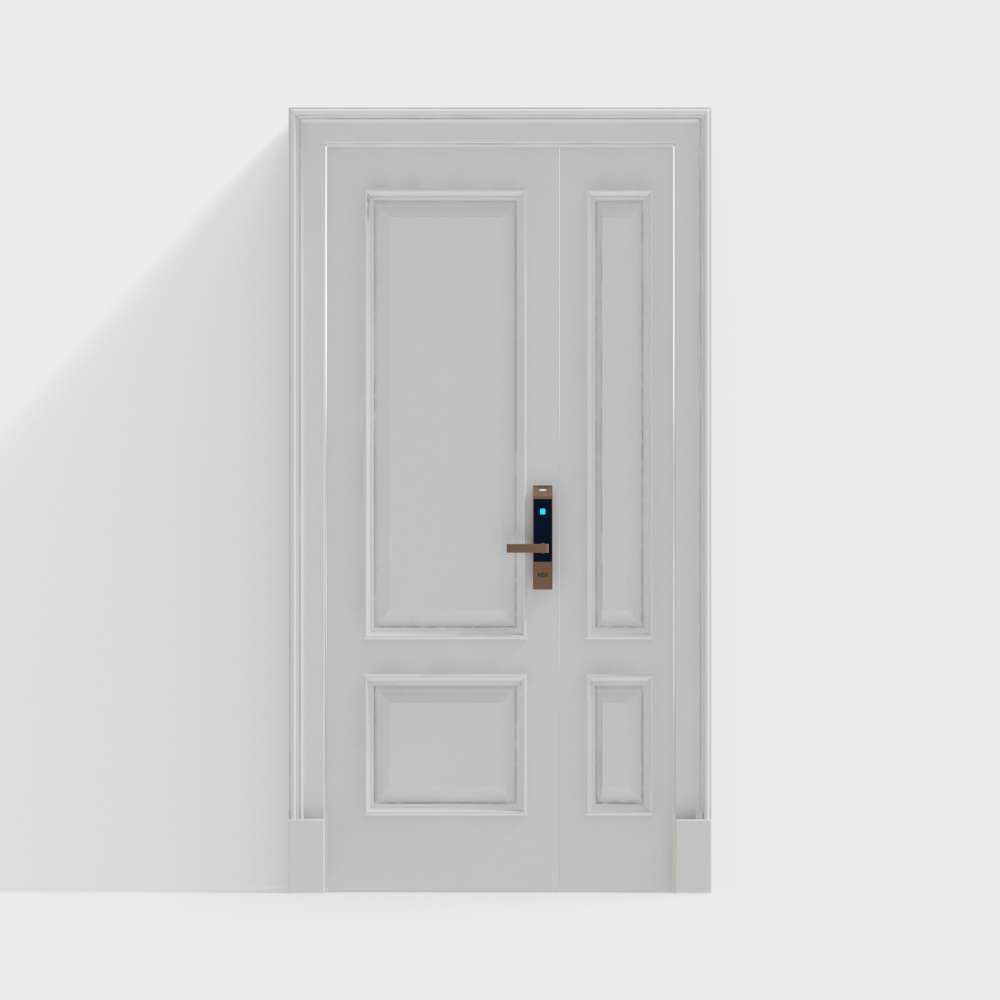 French anti-theft door