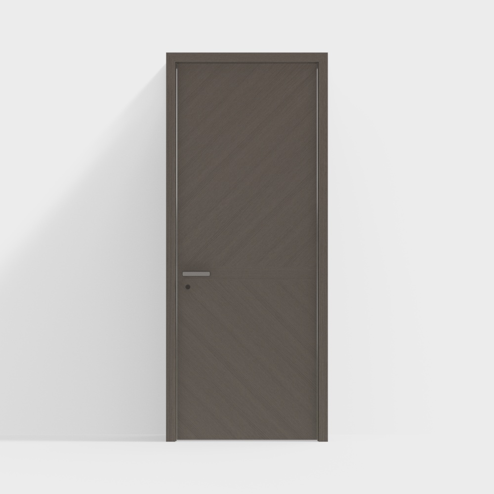 Modern Single Door