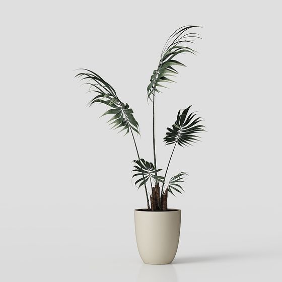 Tropical Potted Plant 3D model for Creative Projects