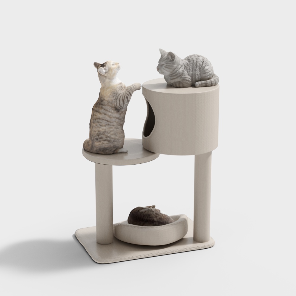 บันไดแมวสมัยใหม่