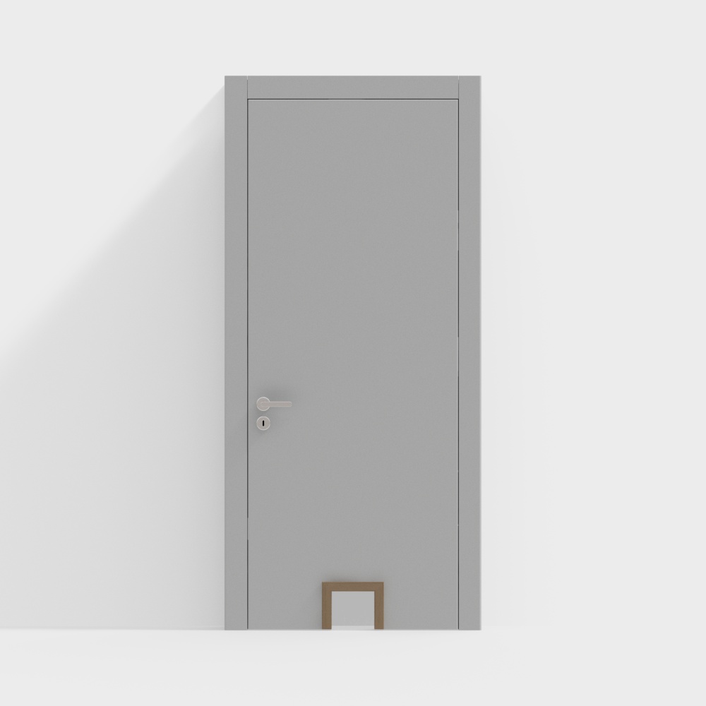 Modern Single Door