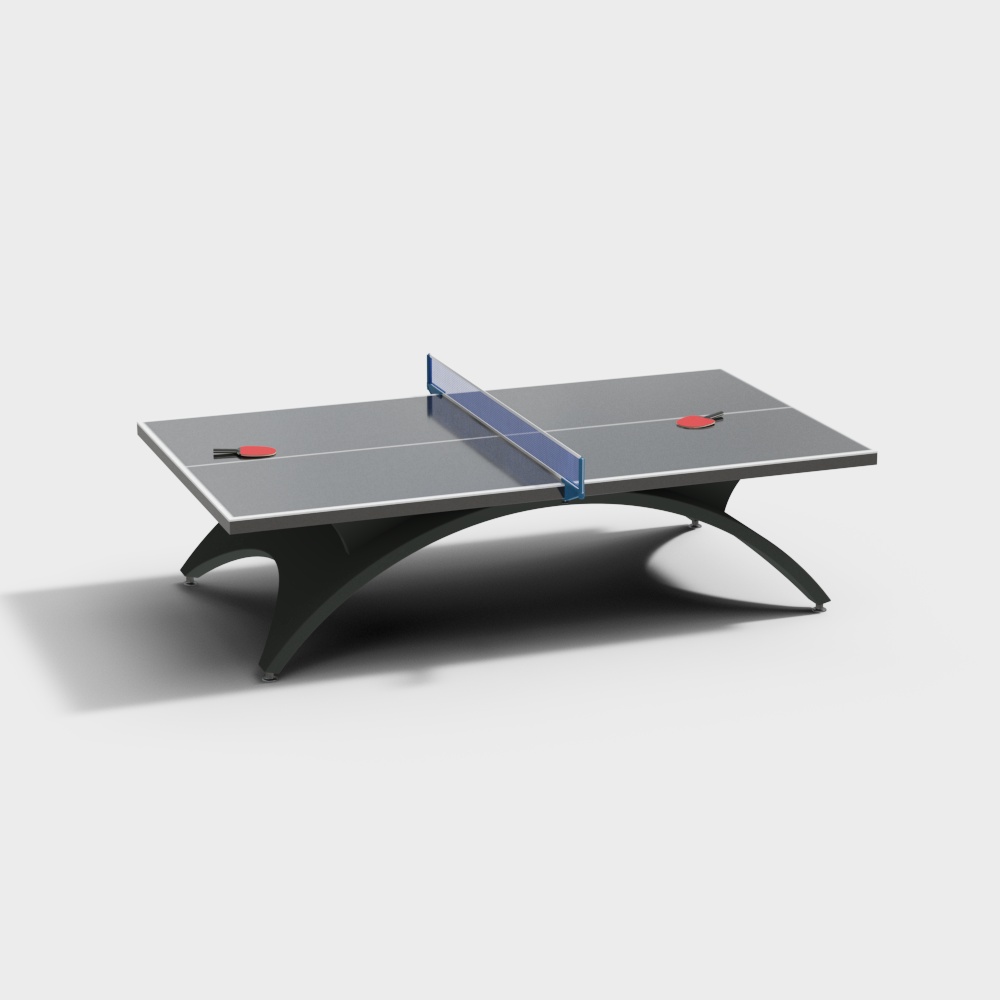 Modern Ping Pong Table