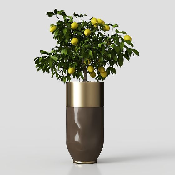 Charming Lemon Tree 3D model for Indoor Decor
