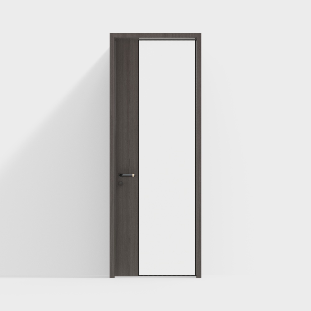 Modern Single Door