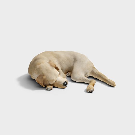 Sleeping Golden Retriever 3D model