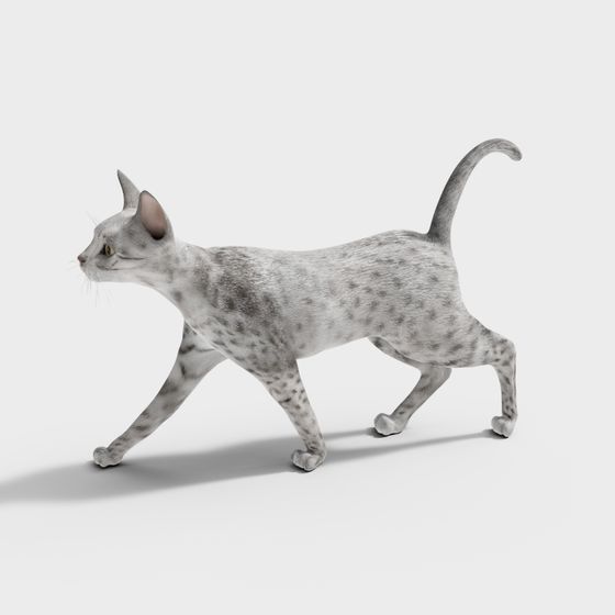Walking Cat 3D Model with Dynamic Design