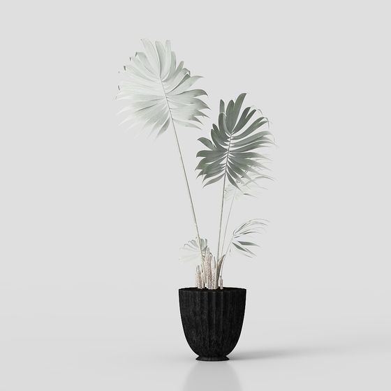 Tropical Potted Plant 3D model for Fresh Interiors
