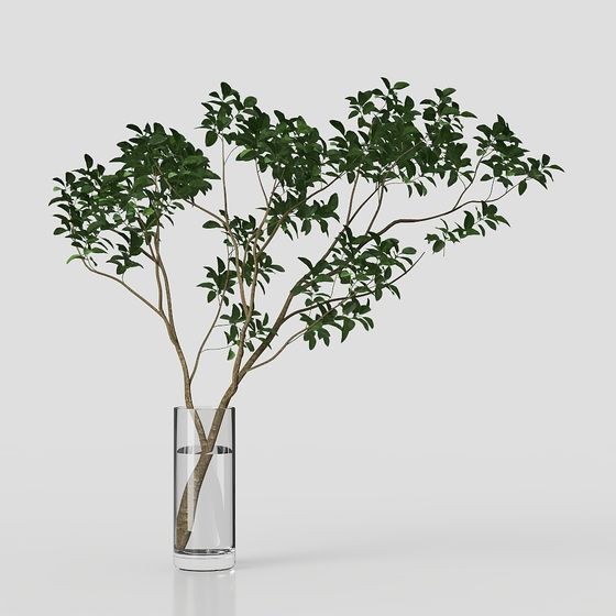 Vibrant Indoor Green Plant 3D model