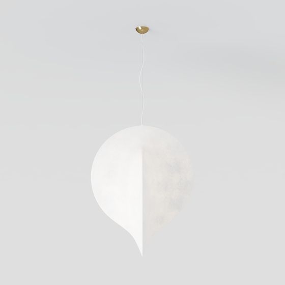 Elegant Nature-Inspired Pendant Light 3D model