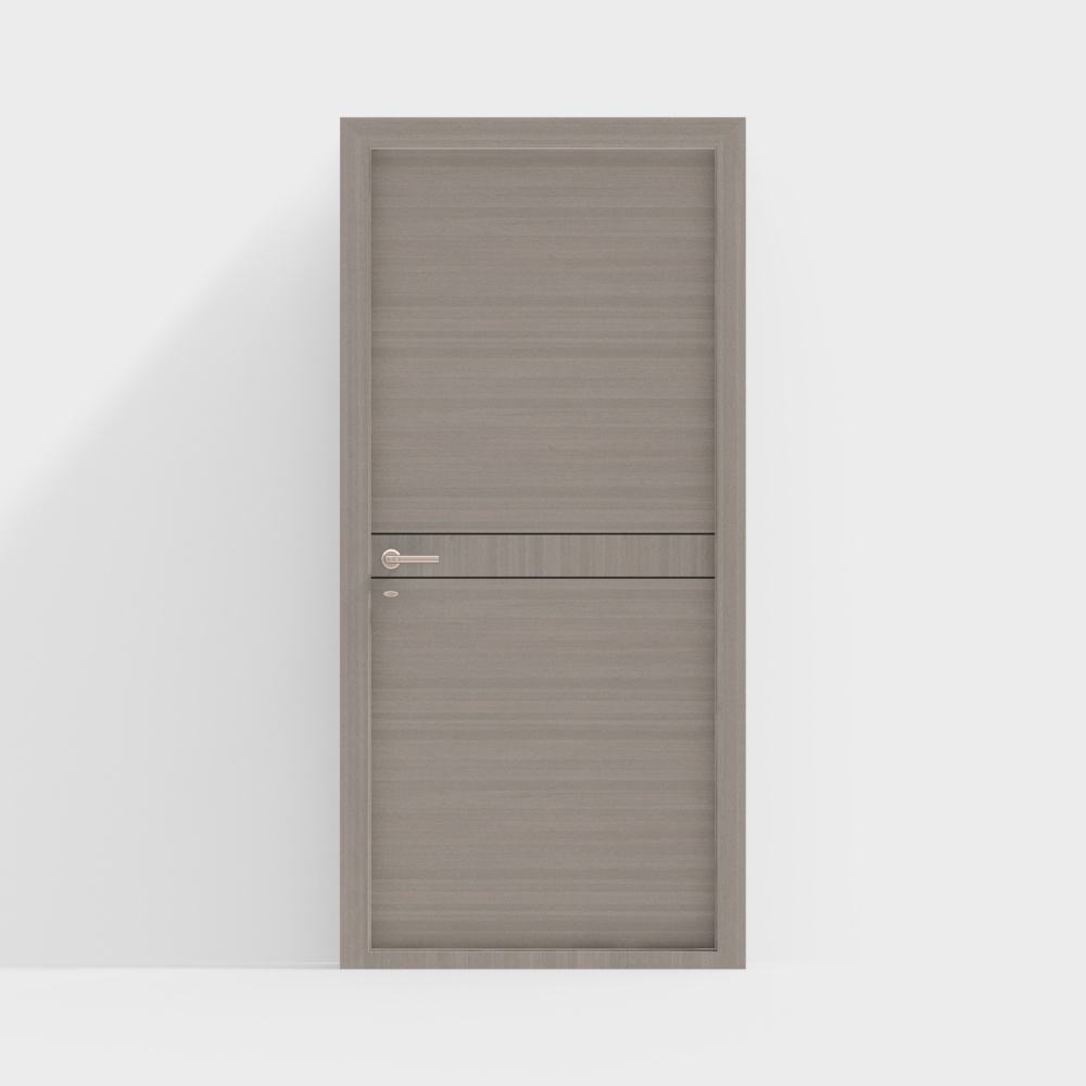 Modern Single Door
