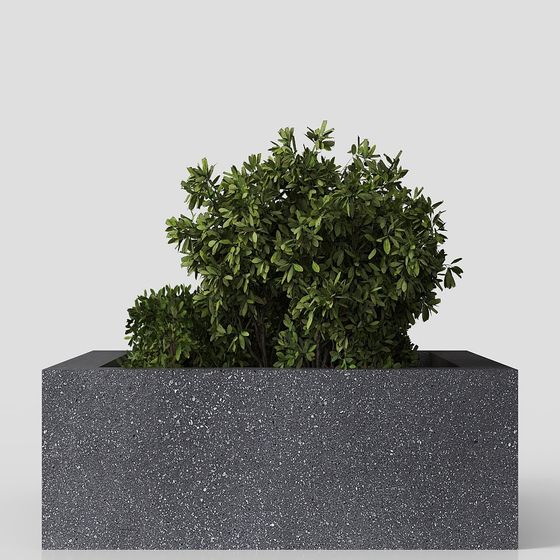 Elegant Low Poly Concrete Planter 3D model