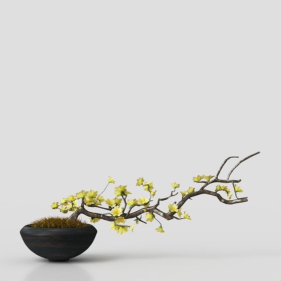 Spring Blossom 3D Model