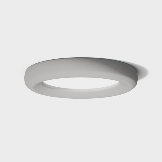Round Ceiling Light