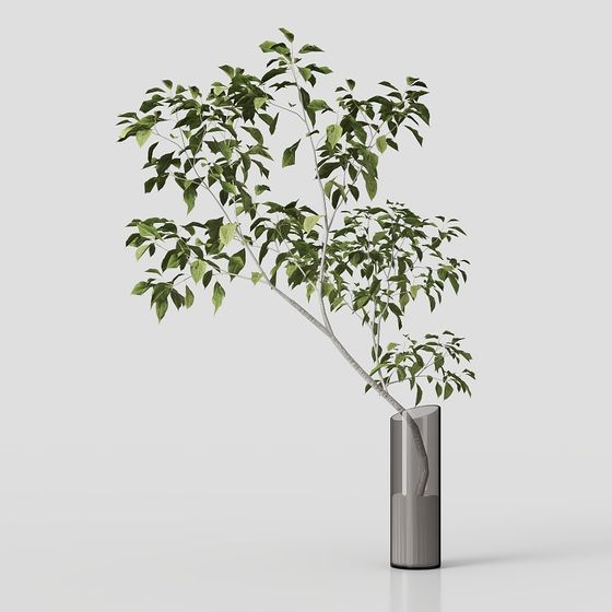 Realistic Indoor Plant 3D Model for Creative Projects