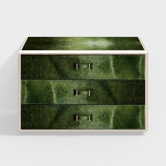 ロベルト・カヴァリ フライケース2