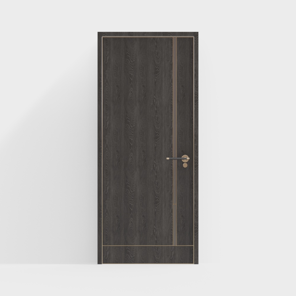 Modern Single Door