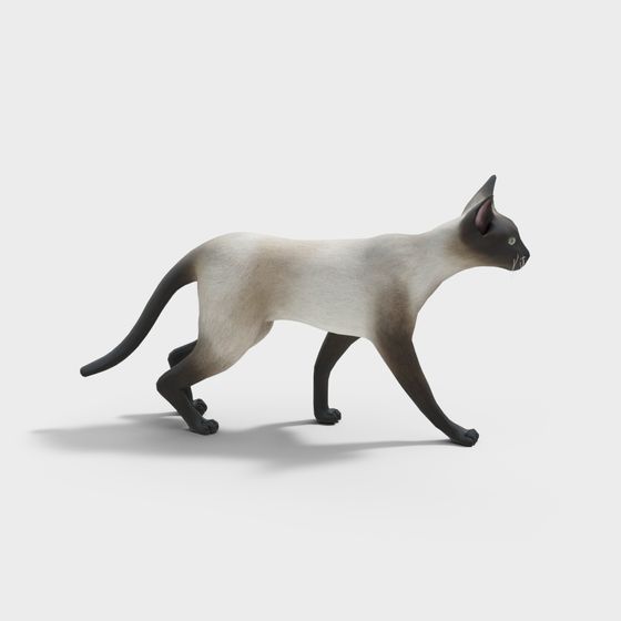 Lifelike Siamese Cat 3D Model
