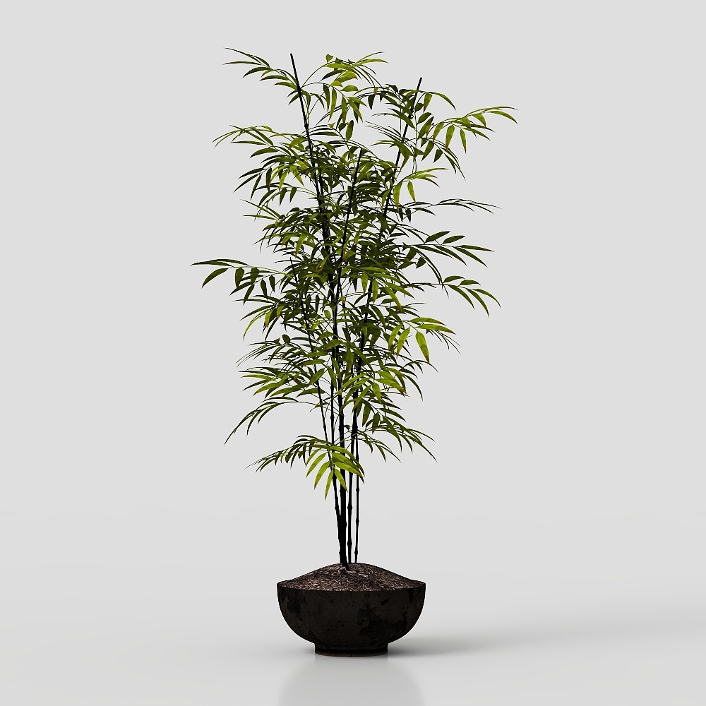 Grüne Pflanzen.zip1