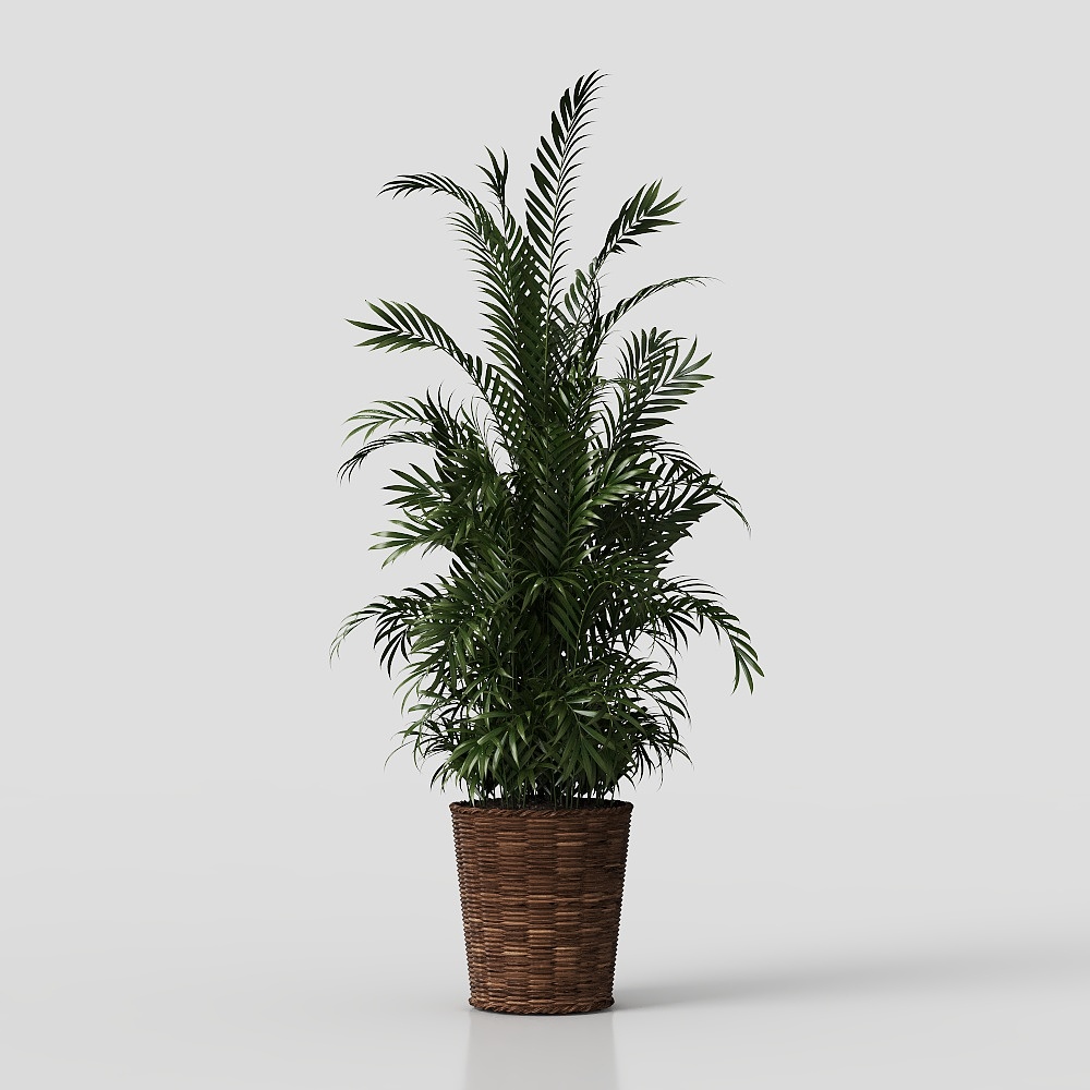 Floor Plant Single Mode