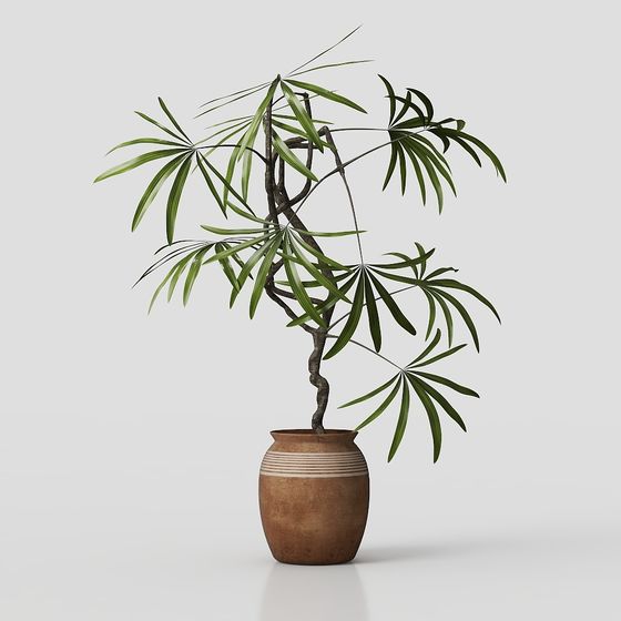 Elegant Tropical Potted Plant 3D model