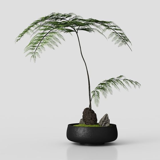 Elegant Potted Fern 3D model for Designers