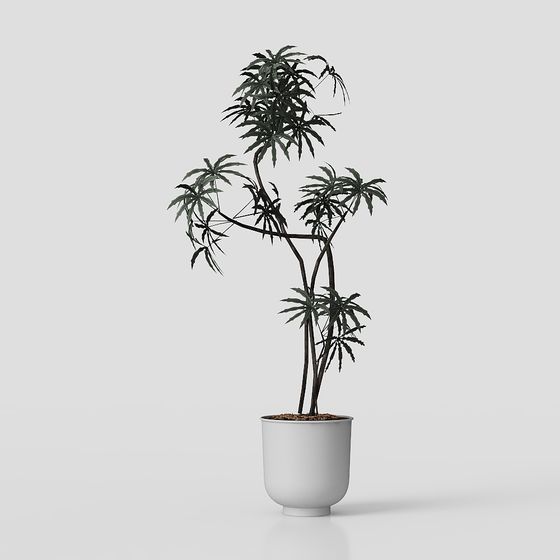 Vibrant Low-Poly 3D Model Plant for Creative Designs