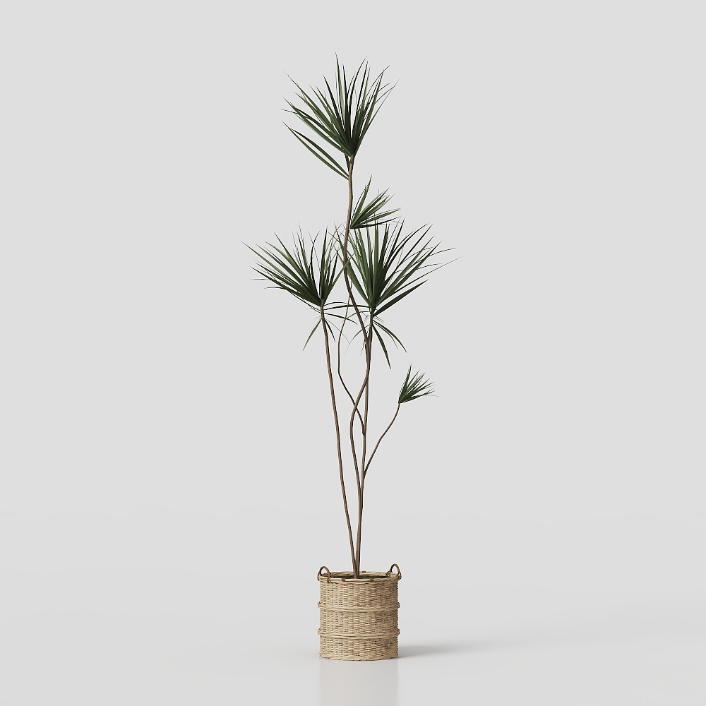 Ze Yi - Green Plant Set 001
