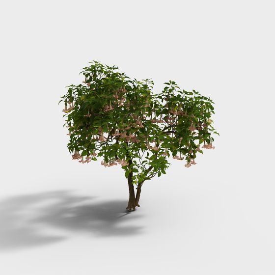 Angel's Kiss Tree 3D model
