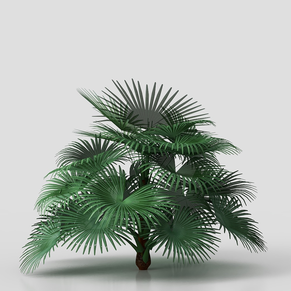 Buisson Vert Moderne