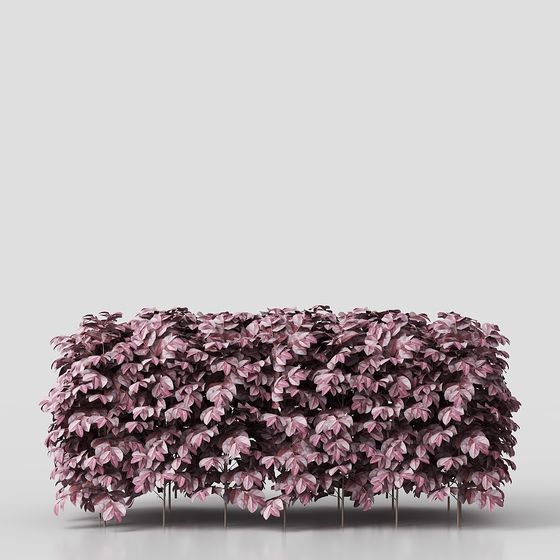 Artistic Purple Leaf Shrub 3D model