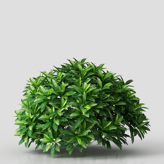 Dome Greenery 3D model - Lush Low-Poly Plant