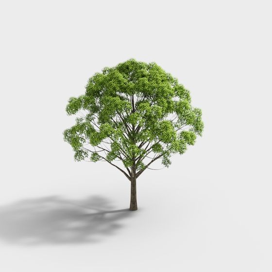 Realistic 3D Oak Tree Model