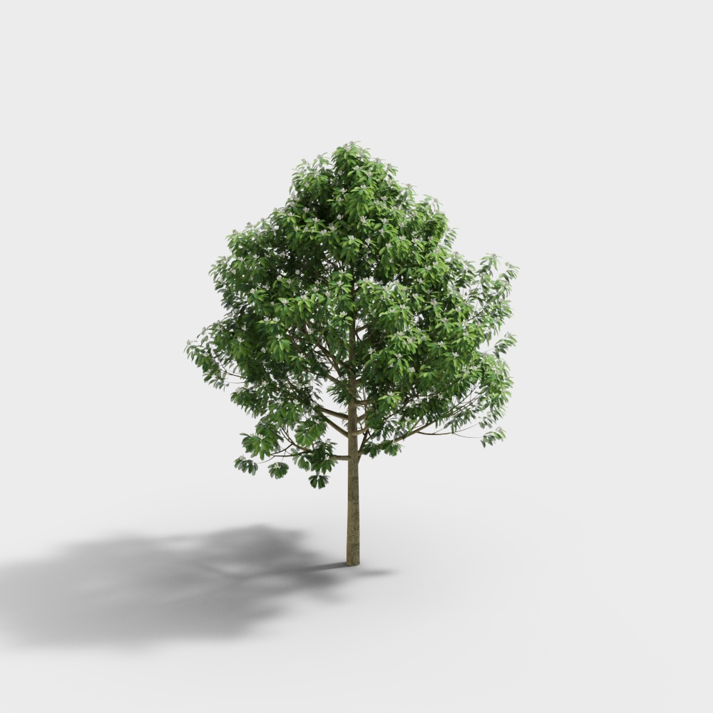 Modern Leshan Osmanthus