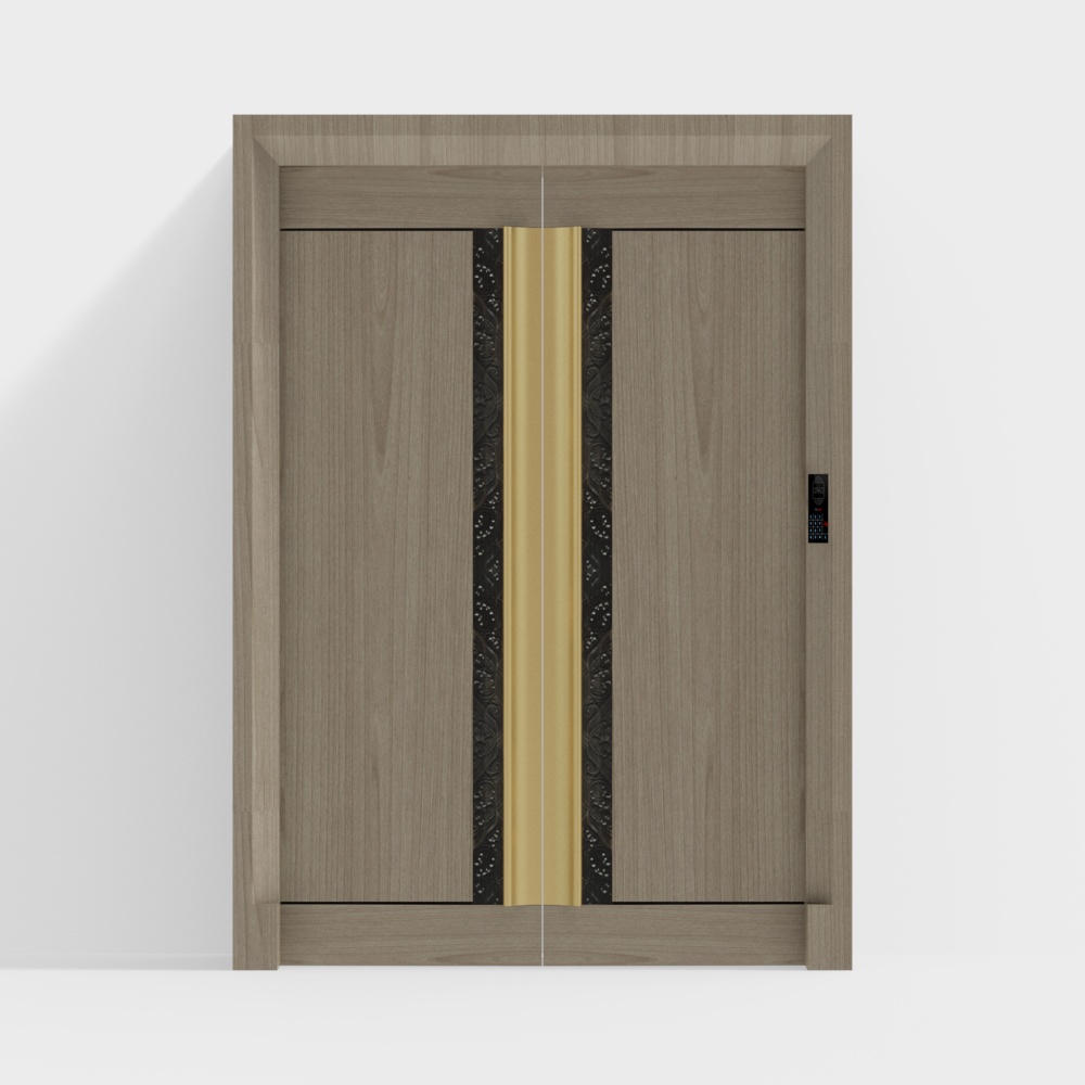 Modern Double Door