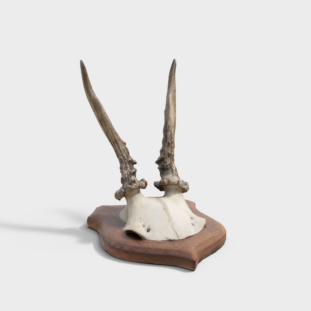 Ornament Display Items