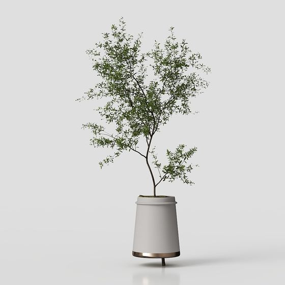 Urban Oasis Potted Plant 3D model