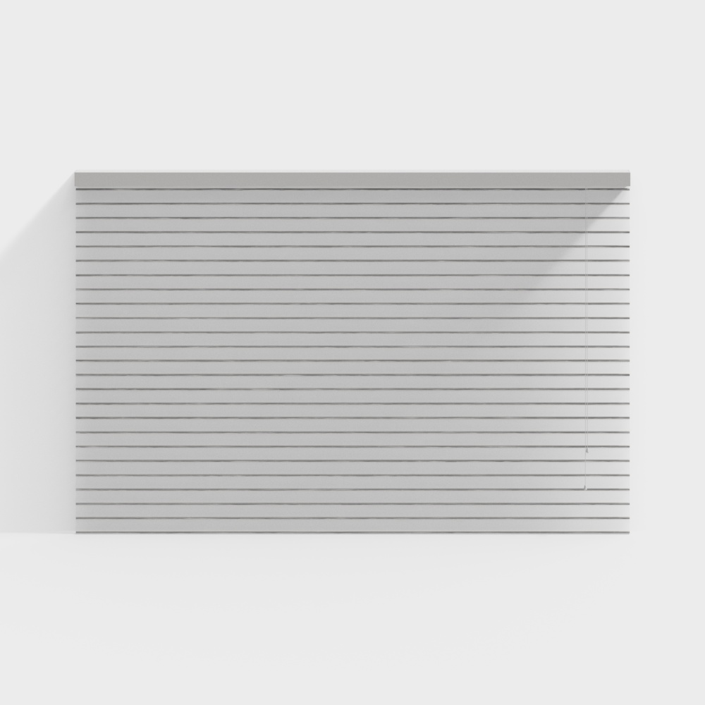 Modern Tea Room Transparent Roller Blind