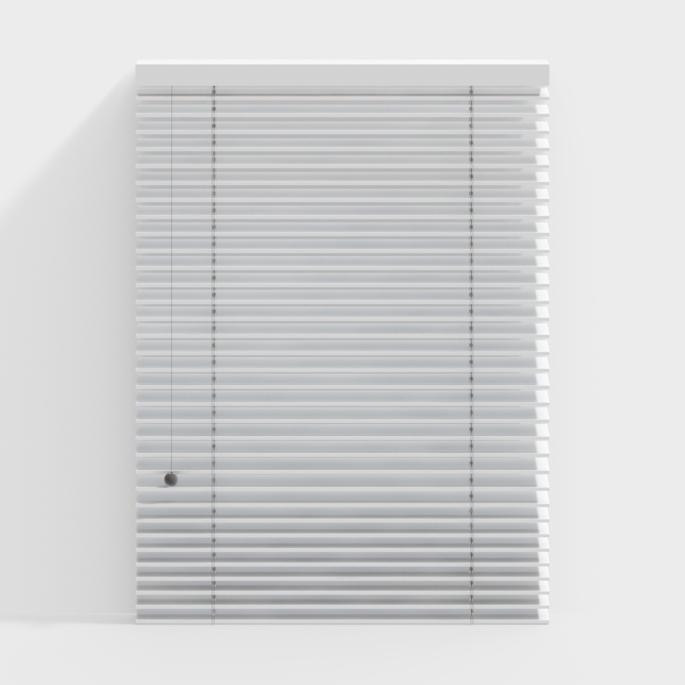 Modern Roller Blinds