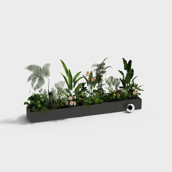 Tropical Rainforest Plant Collection 3D model