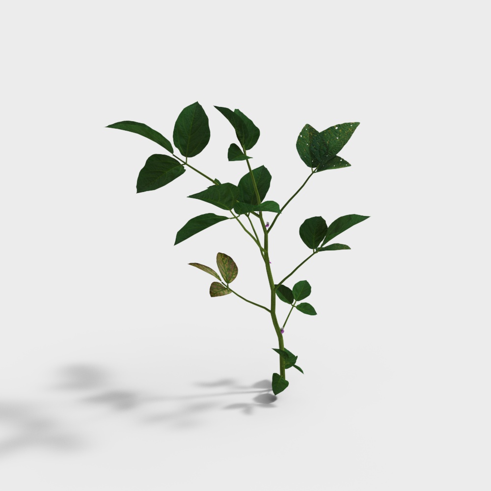 Little Tree of Life 3D model