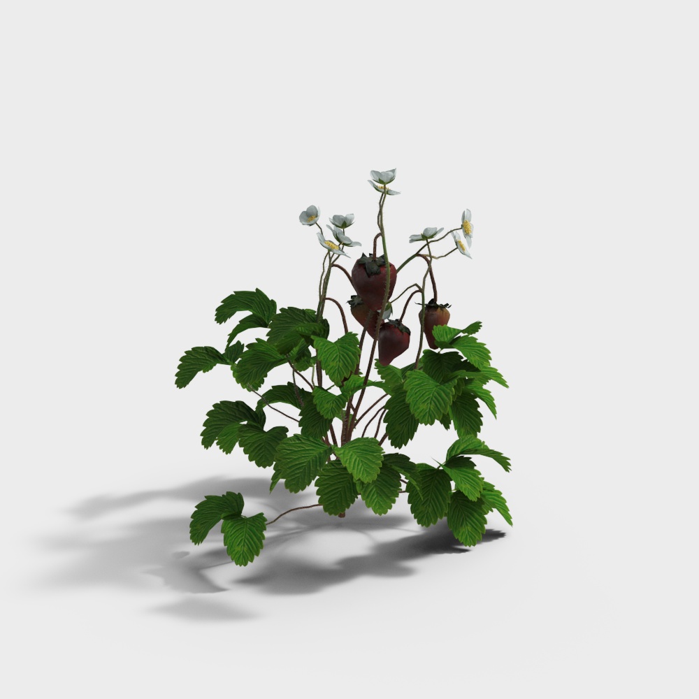 Vibrant Strawberry Bush 3D Model for Creative Projects