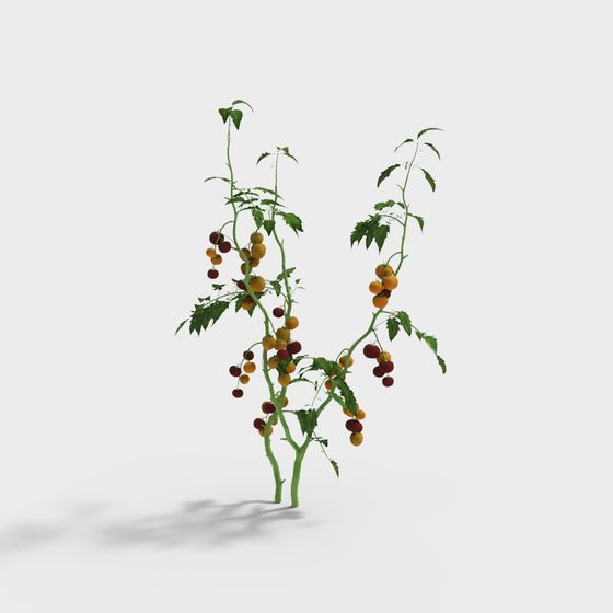 Vibrant Cherry Tomato Plant 3D model for Creative Projects